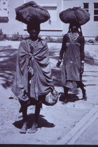 Results of incursions from South Africa in Kunene province.